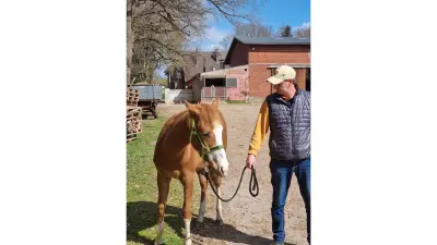 Matthias Hildebrandt, Shift Manager at Bosch emergency call and service control center Magdeburg, Germany, with horse