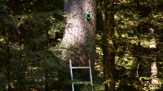 Der Wildfire-Detektor mit integriertem Sensor und Solarpanel.