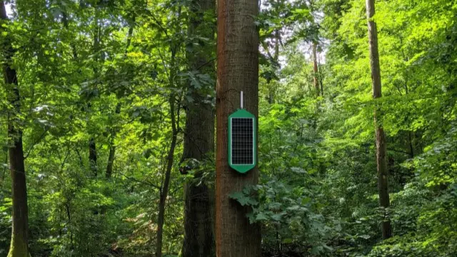 Ein Mesh-Gateway fungiert als Knotenpunkt. 