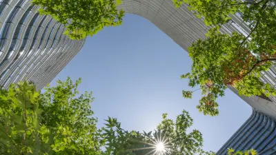 A beautiful view of green nature near a commercial building