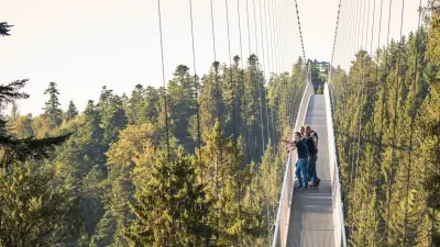 Bosch associates on the Wildline