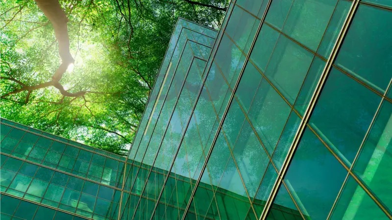 Glass facade building with view in tree crown