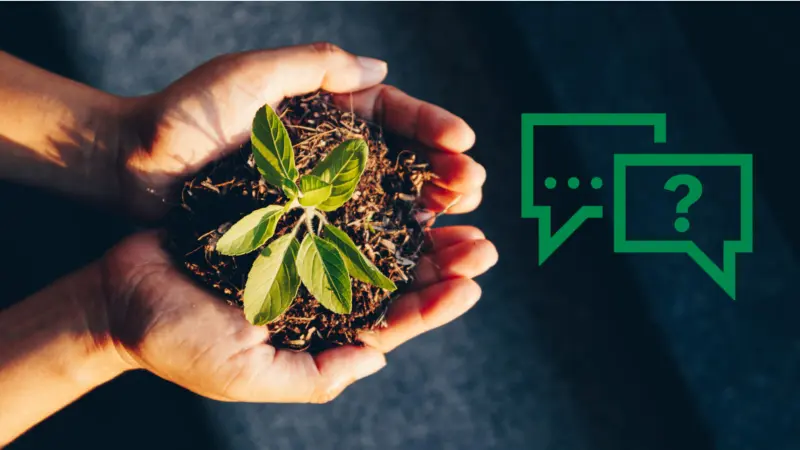 Hände halten eine junge Pflanze mit Erde und Icons Sprechblasen