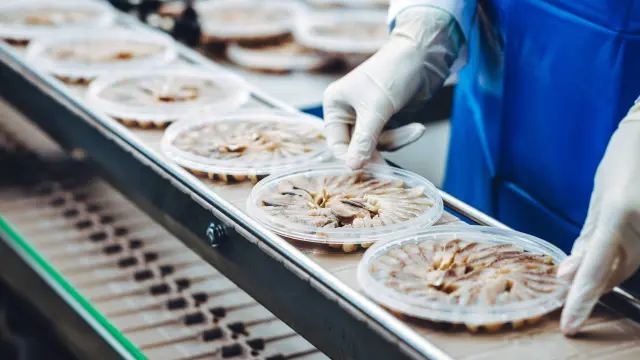 Bir fabrikada balık işleme hattı